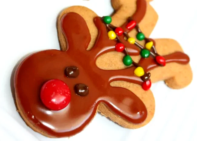 13 Creative Christmas Cookie Decorating Ideas for the Holidays Oh Deer