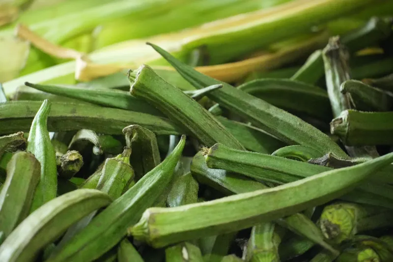 Okra 1