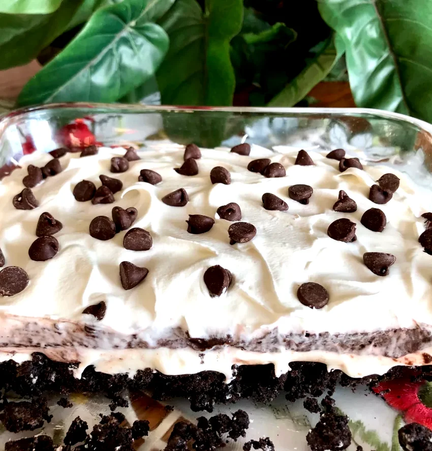10 Amazing Oreo Cake Recipes That Will Change Your Life Oreo Lasagna
