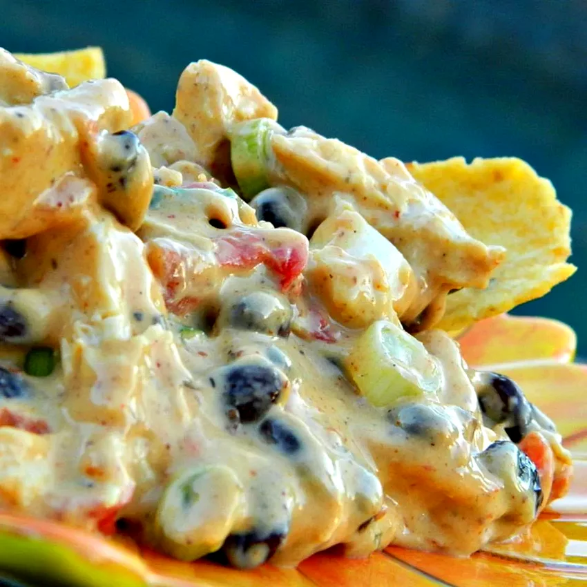 18 Top Cheese Dip Recipes You Can Make From Scratch Outrageous Warm Chicken Nacho Dip