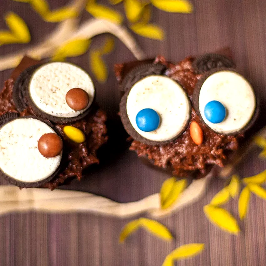 10 Amazing Oreo Cake Recipes That Will Change Your Life Owl Cupcakes