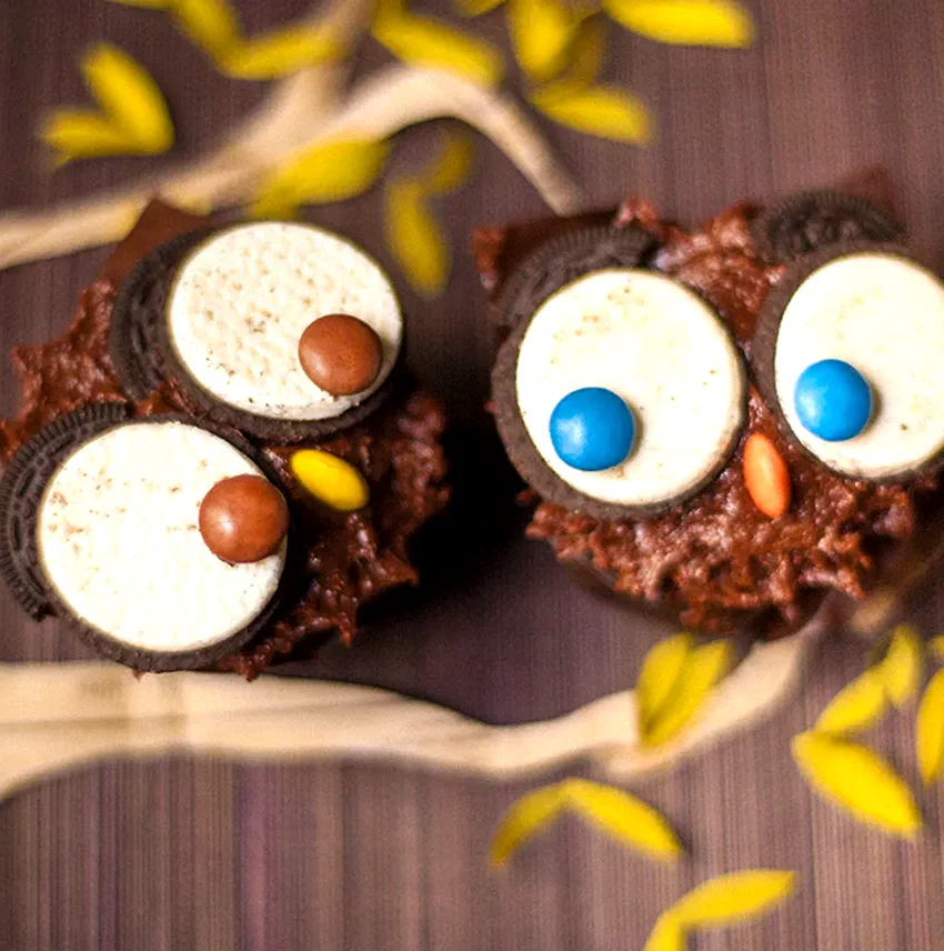 50 Oreo Dessert Ideas for Cookie and Cream Fans Owl Cupcakes