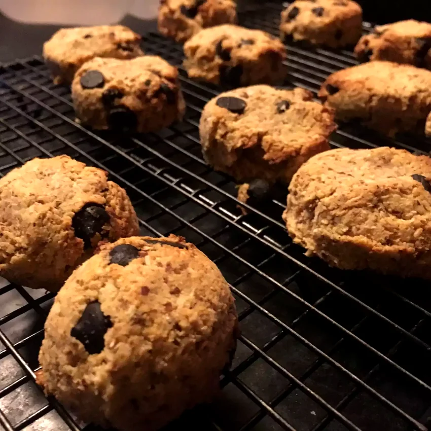 Paleo Coconut Dark Chocolate Chip Cookies