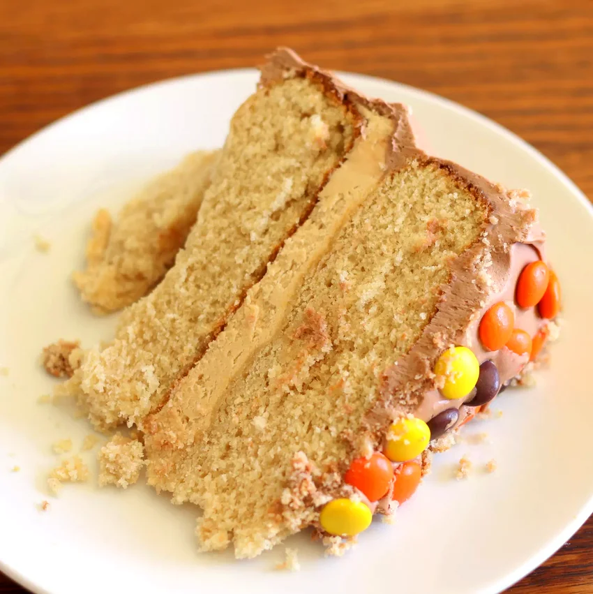 40 Peanut Butter Chocolate Treats That Are Simply Amazing Peanut Butter and Chocolate Cake I