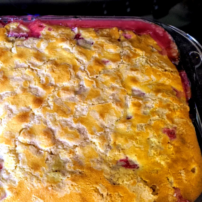 10 Amazing Plum Cake Recipes for Every Sweet Craving Plum Buckle