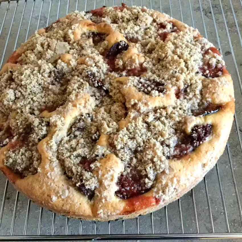 10 Amazing Plum Cake Recipes for Every Sweet Craving Plum Kuchen
