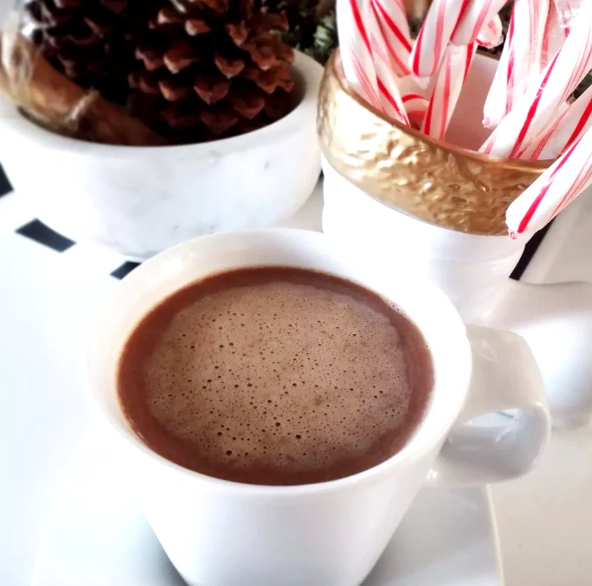 20 Cozy Hot Chocolate Recipes for Cold Winter Nights Polar Express Hot Chocolate