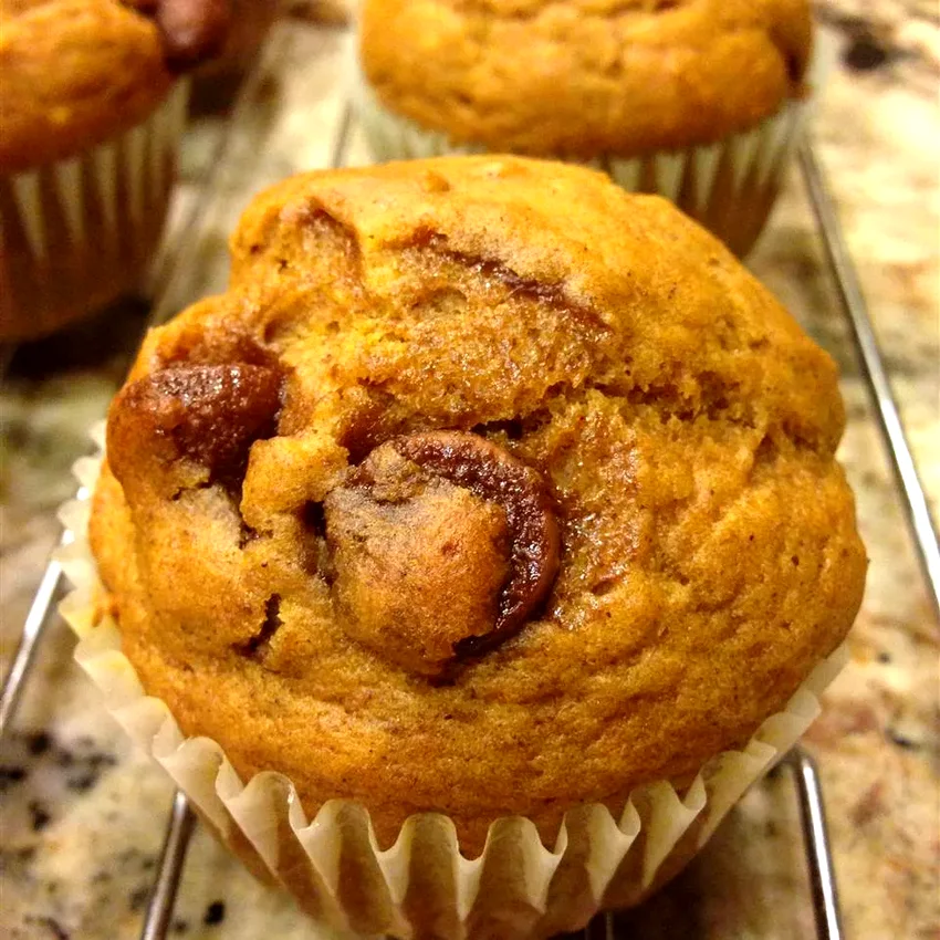 50 Sweet Treats That Begin With a Bag of Chocolate Chips Pumpkin Chocolate Chip Muffins