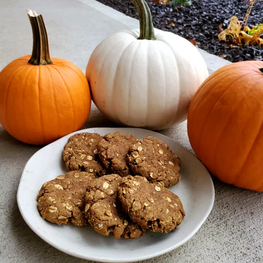 13 No-Sugar Cookie Recipes That Actually Taste Amazing Pumpkin Protein Cookies