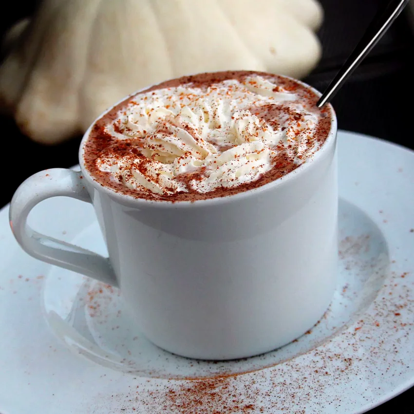 20 Cozy Hot Chocolate Recipes for Cold Winter Nights Pumpkin Spice White Hot Chocolate