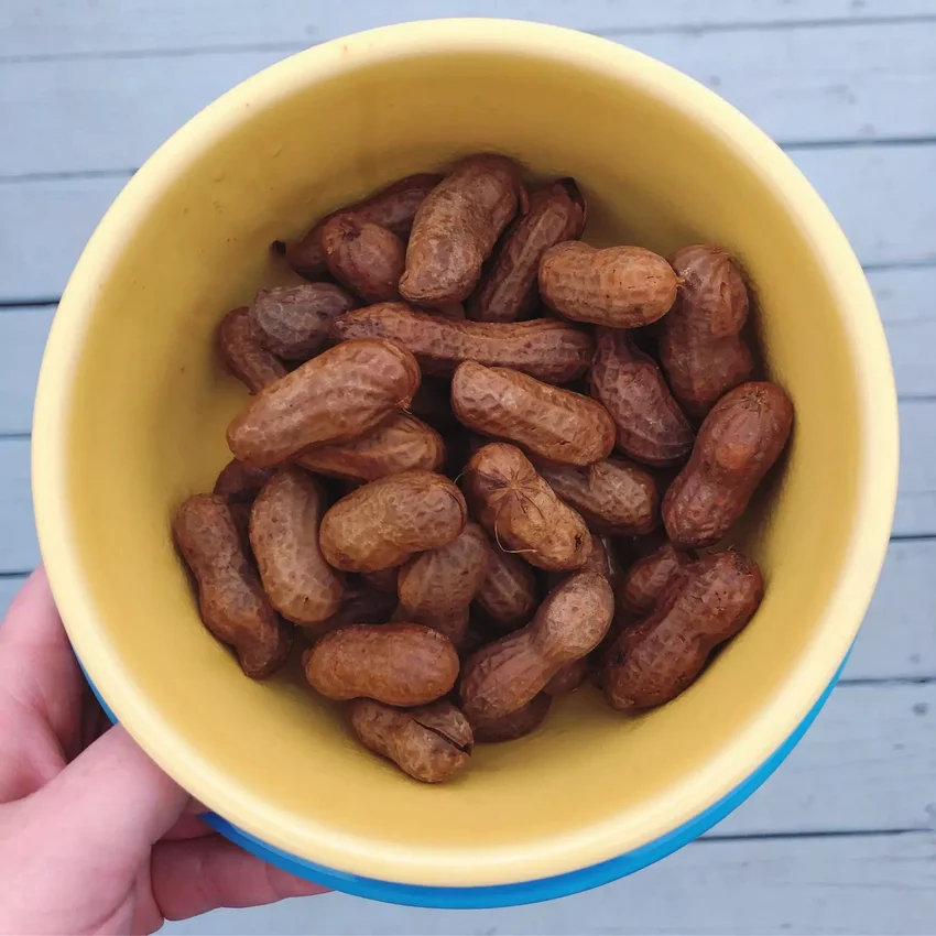 24 Crockpot Game Day Favorites for Your Next Tailgate Rachael