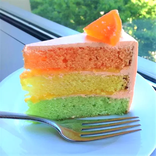 31 Elegant Cake Recipes That Will Wow Your Guests Rainbow Citrus Cake