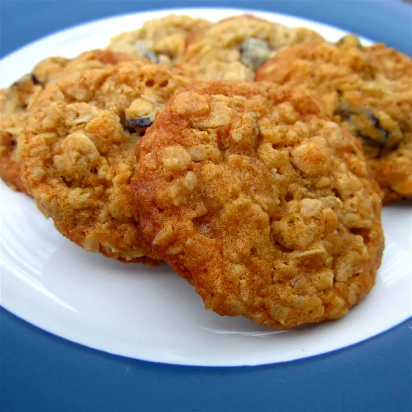 10 Group Bible Study Snacks Perfect for Any Gathering Raisin Honey Chews