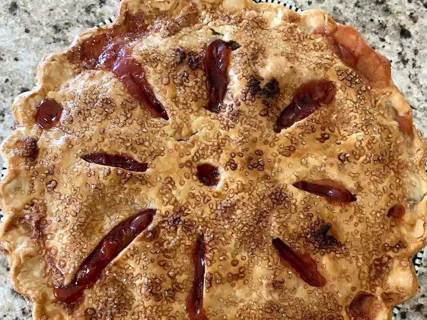 14 Amazing Strawberry Rhubarb Pie Recipe Ideas Renee