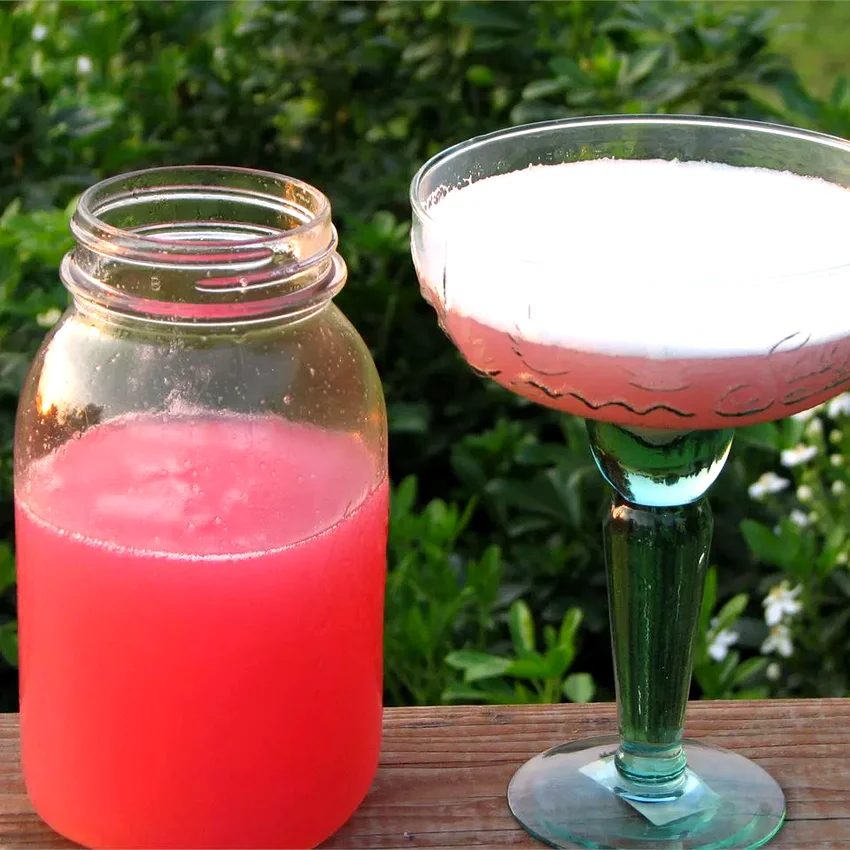 22 Tropical Margarita Recipes with Fresh Fruit Flavors Rhubarb Margarita