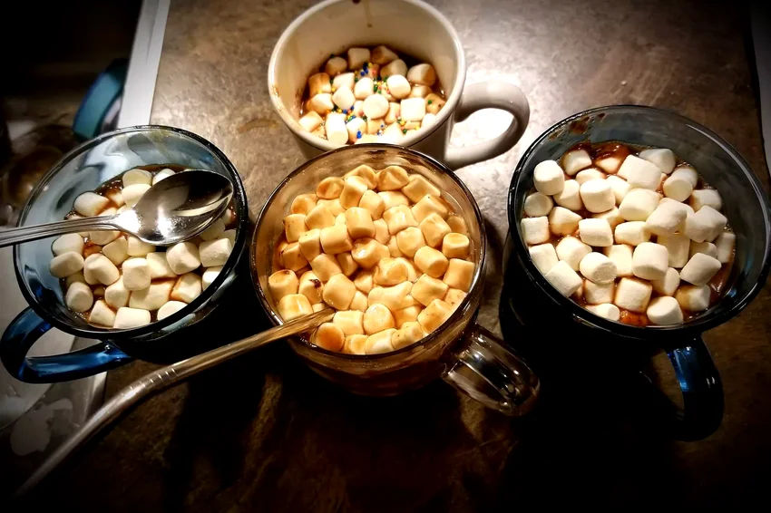 31 Amazing Recipes for Warm Homemade Hot Chocolate Rich Slow Cooker Hot Chocolate
