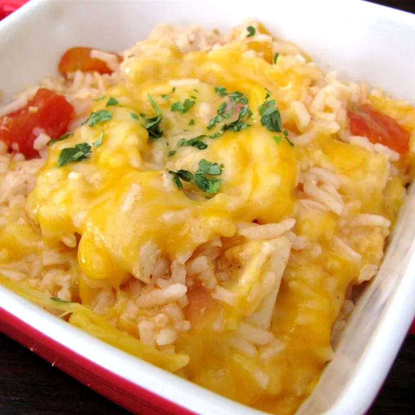 Salsafied Chicken and Rice