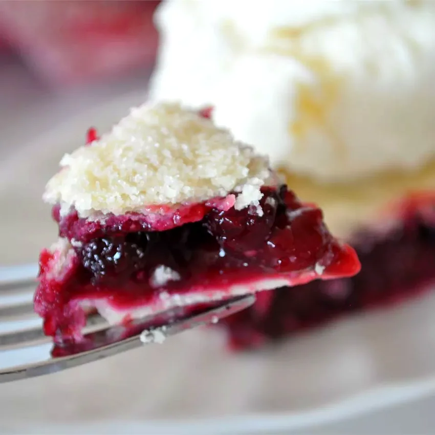 14 Amazing Pies Most People Have Never Tried Before Saskatoon (Serviceberry) Rhubarb Pie