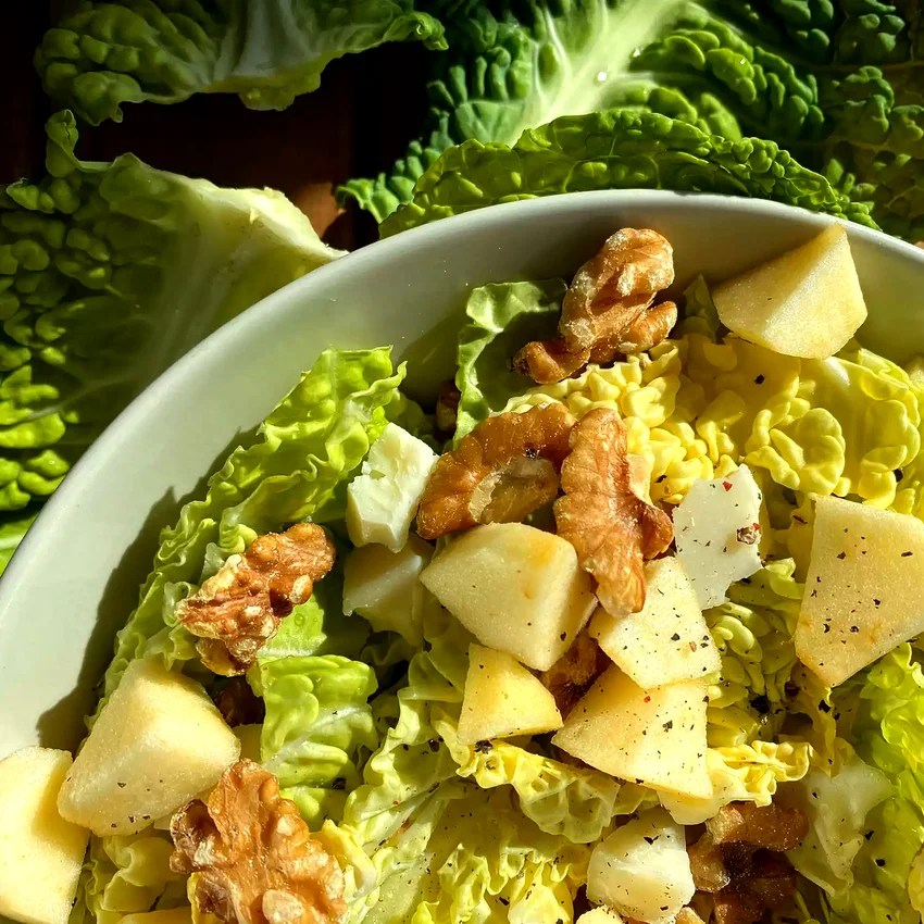 30 Chilled Side Dishes Perfect for Outdoor Gatherings Savoy Cabbage Salad