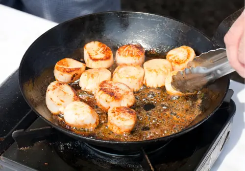 Scallops