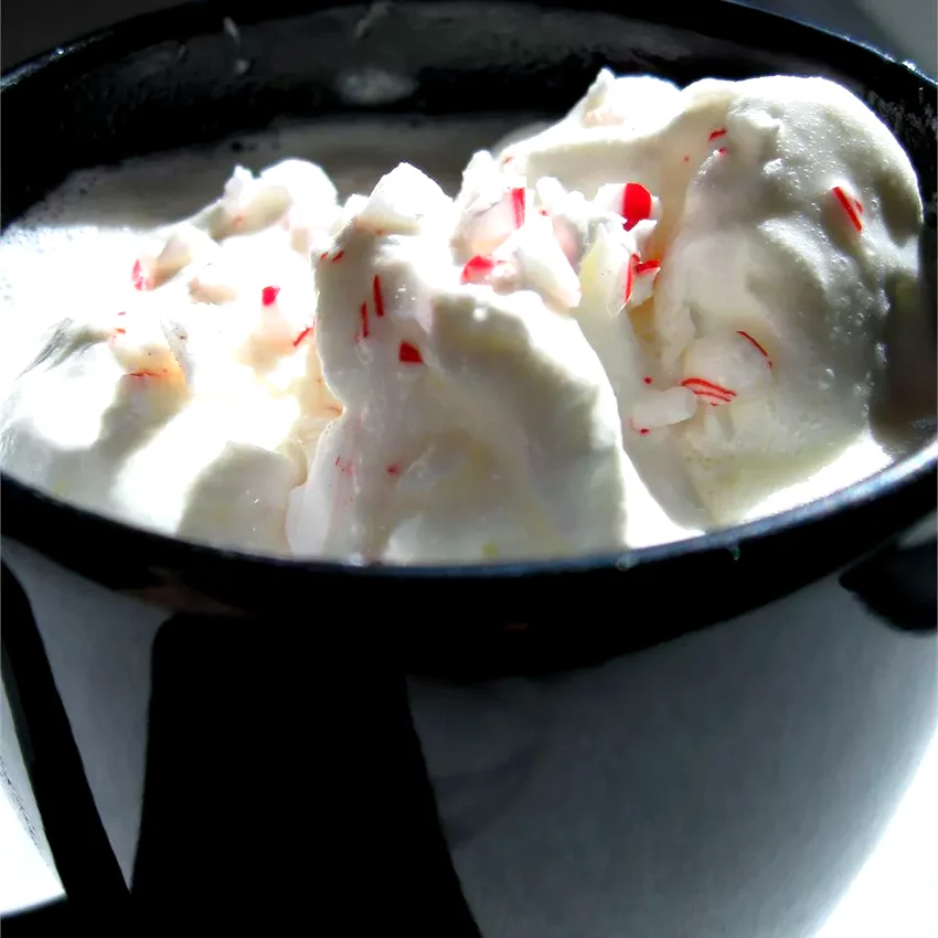 31 Amazing Recipes for Warm Homemade Hot Chocolate Snow Flake Cocoa