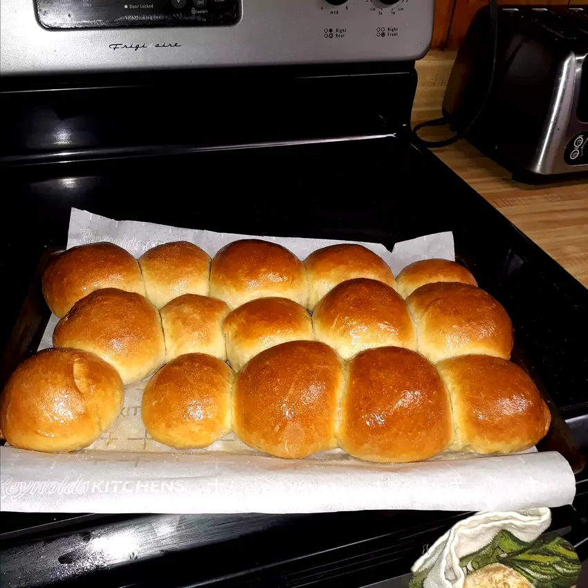 Soft No-Knead Dinner Rolls
