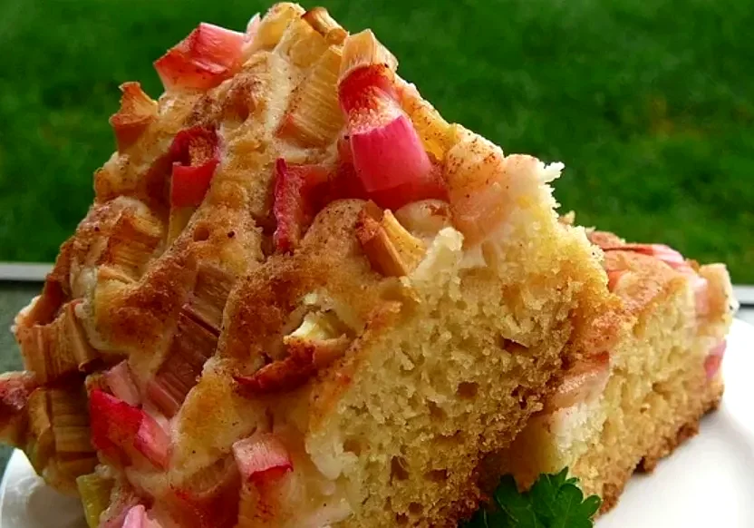 10 Beautiful and Tasty Rhubarb Cake Recipe Collection Sour Cream Rhubarb Coffee Cake