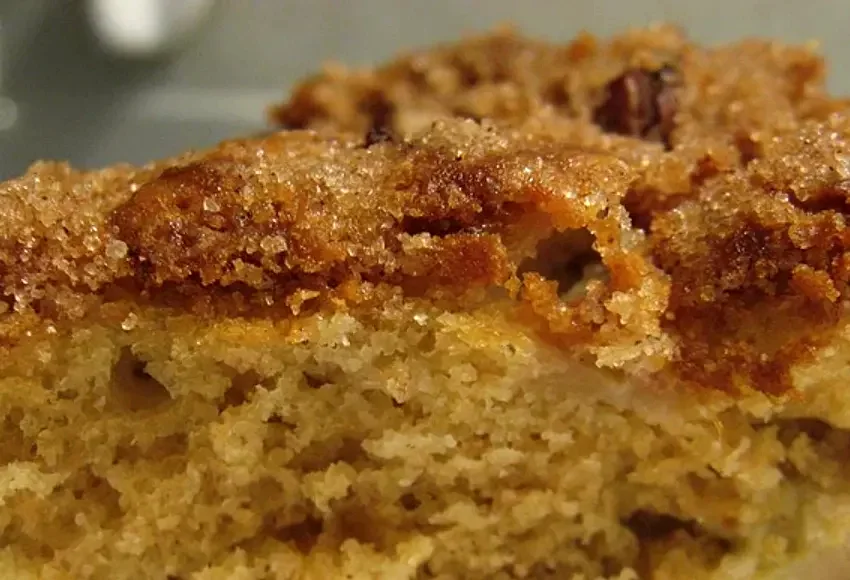 10 Amazing Rhubarb Bar Recipes You Need to Try Today Sour Cream-Rhubarb Squares