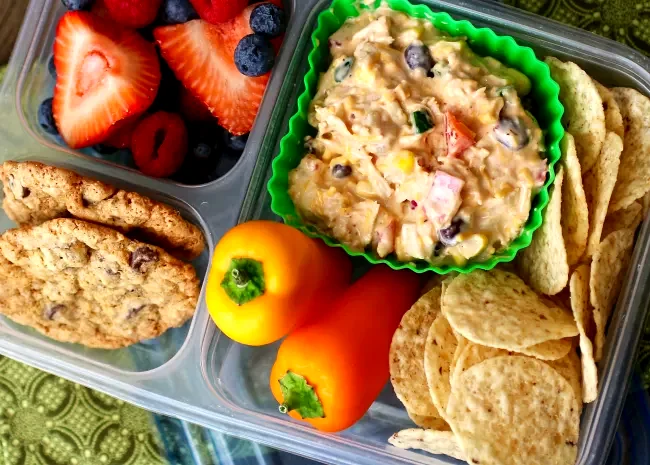 25 Fiery Chicken Breast Recipes That Bring the Heat Southwest Chicken Salad Bento Box