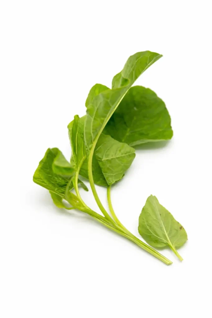 Spinach 1