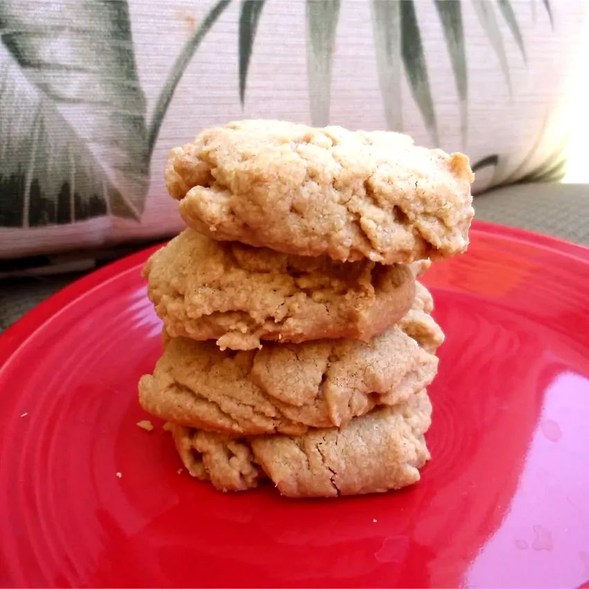 13 No-Sugar Cookie Recipes That Actually Taste Amazing Sugar-Free Peanut Butter Cookies