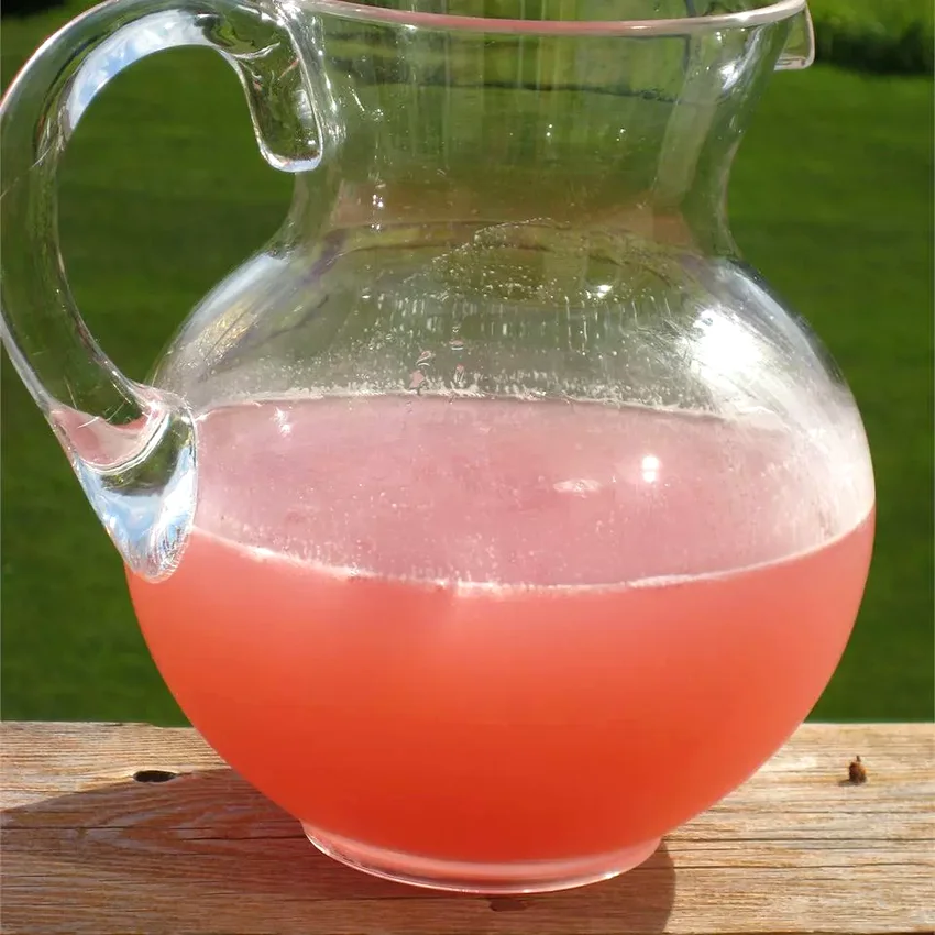 28 Thirst-Quenching Lemonade Recipes for Summer Sipping Summer Beer
