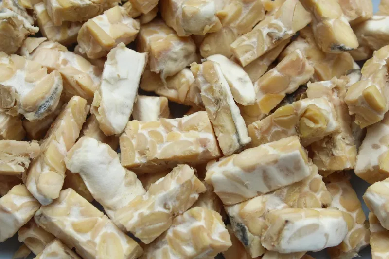 Tempeh