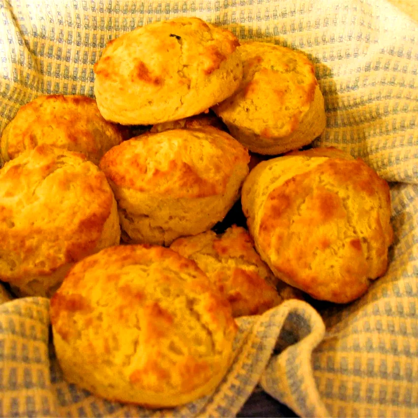 Tender Potato Biscuits