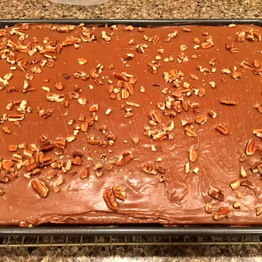 10 Amazing Texas Sheet Cake Variations You Need to Try Texas Sheet Cake VI