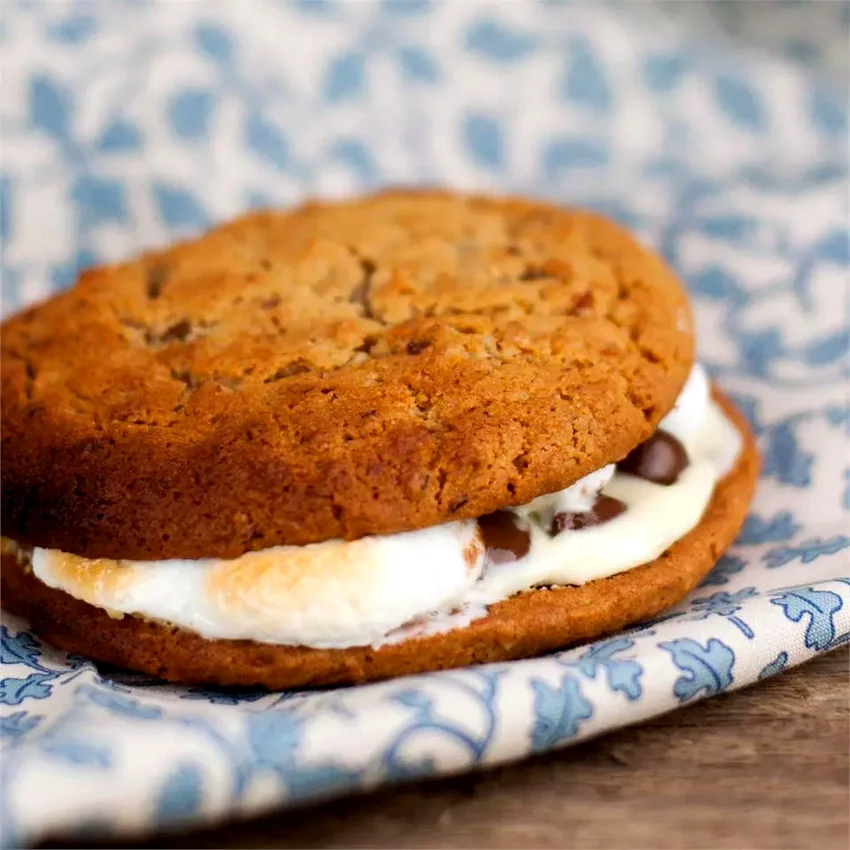 Toasty Campfire Cookies