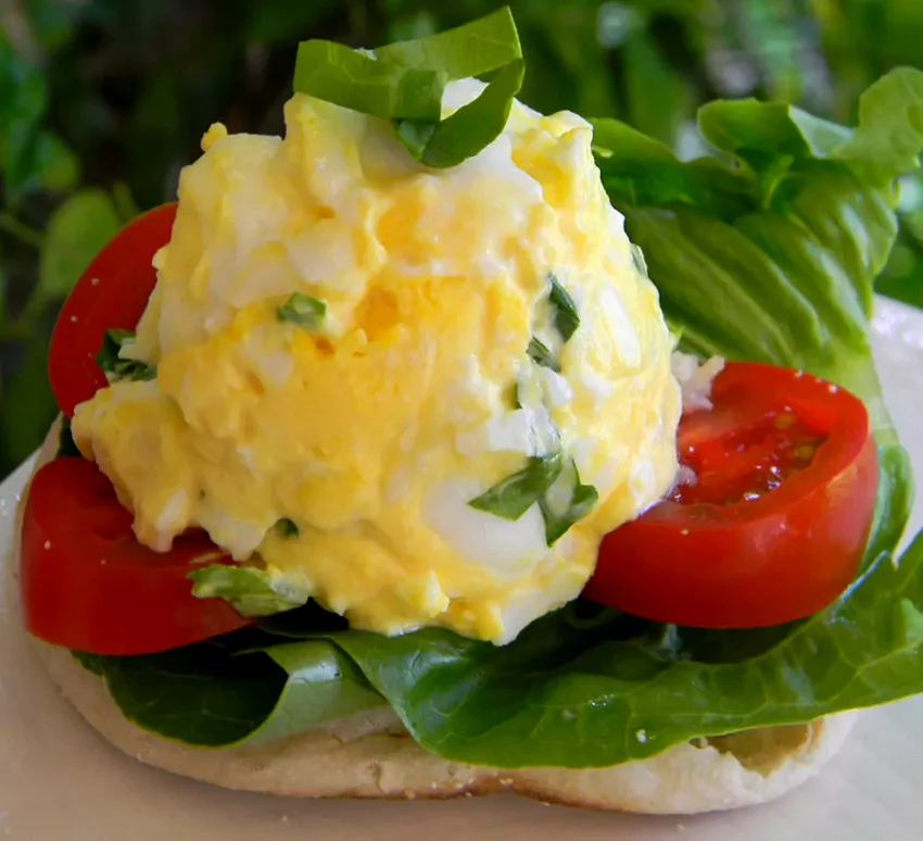 12 Fresh Tomato Sandwich Ideas for Summer Season Tomato Basil Egg Salad Sandwich