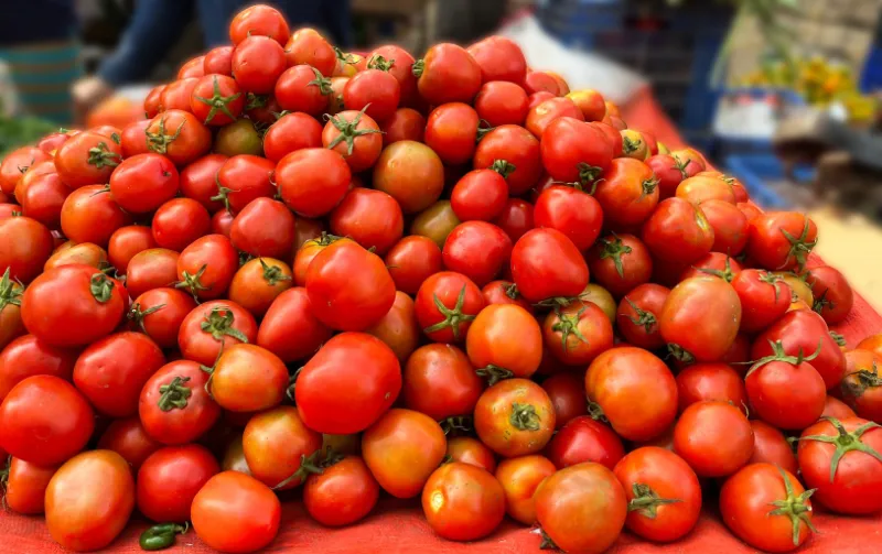 Tomatoes 2