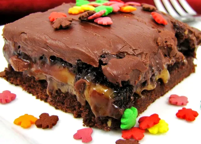 33 Easy Chocolate Cake Mix Treats for Every Sweet Craving Turtles Cake