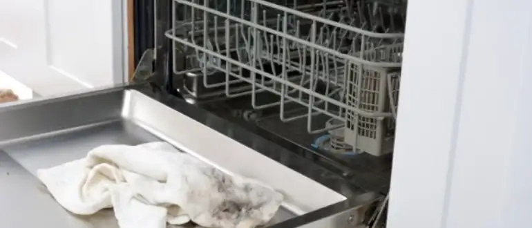 Using Deep Cleaning for remove Mold From The Dishwasher