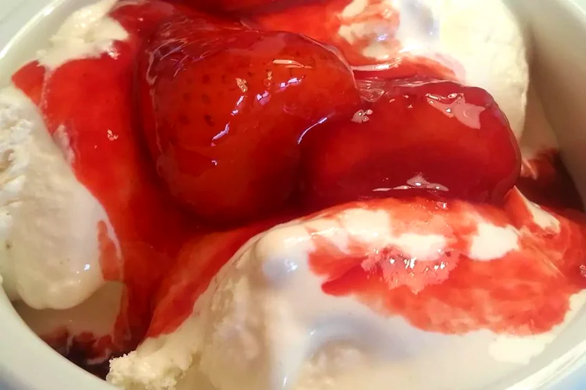 20 Simple Desserts You Can Make Without Using Any Eggs Vanilla Ice Cream X