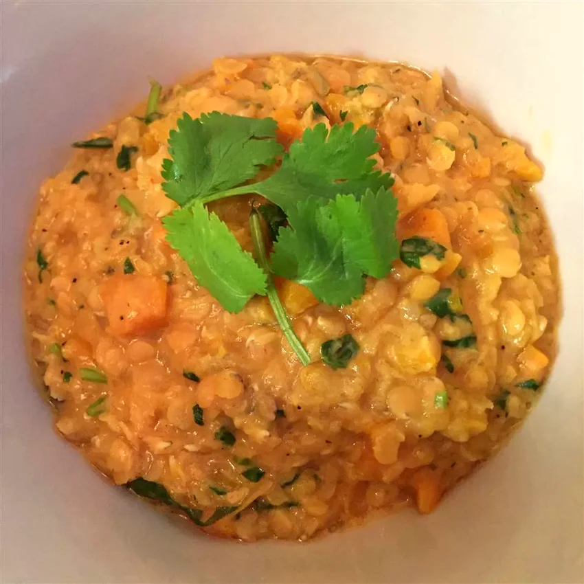 17 Simple Plant-Based Dinners for Busy Weeknight Cooking Vegan Red Lentil Soup