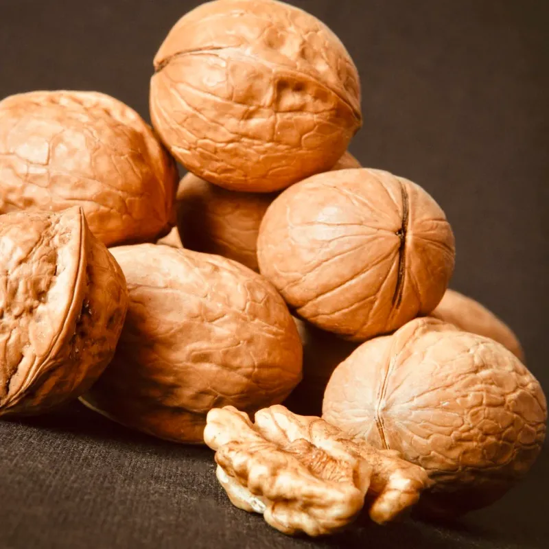 Walnuts 4