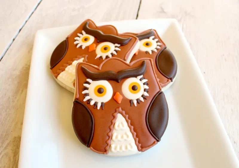 10 Creative Halloween Cookie Recipes for Spooky Fun Wise Owl Sugar Cookies 1