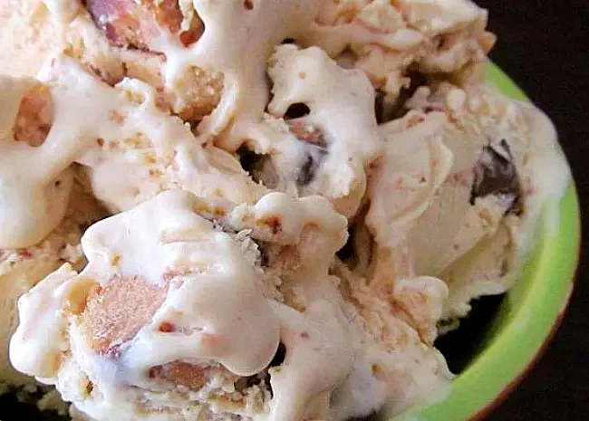 Yummy Peanut Butter Cup Ice Cream