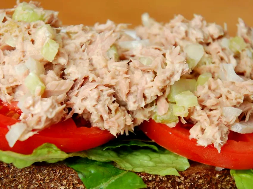 16 Amazing Tuna Salad Ideas From Simple to Gourmet Zesty Tuna Salad