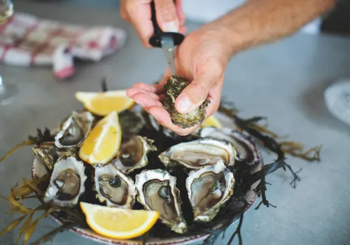 Zinc-Rich Food; Oysters