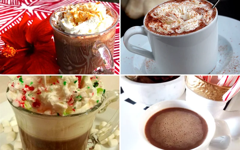 31 Amazing Recipes for Warm Homemade Hot Chocolate best hot chocolate recipes featured