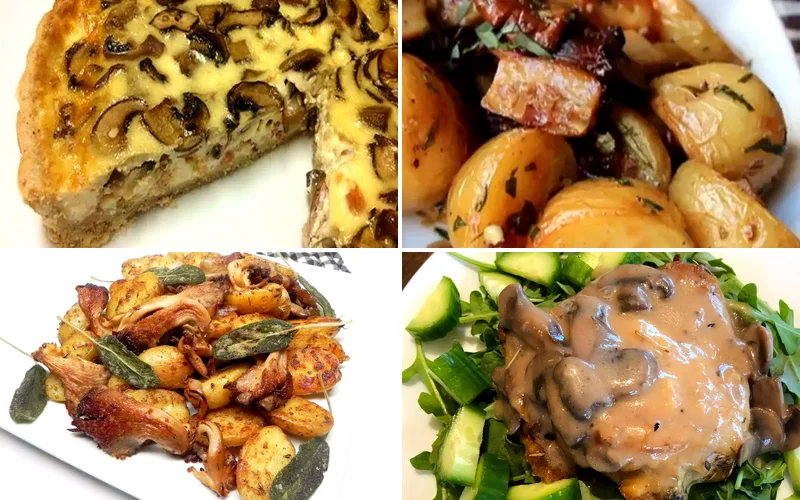 18 Golden Chanterelle Mushroom Recipe Ideas