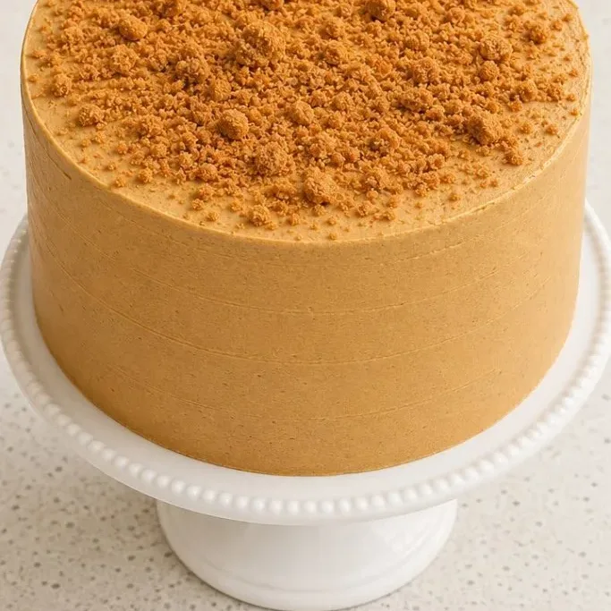 Easy Chocolate Biscoff Cake (Moist and Rich) Chocolate Biscoff Cake
